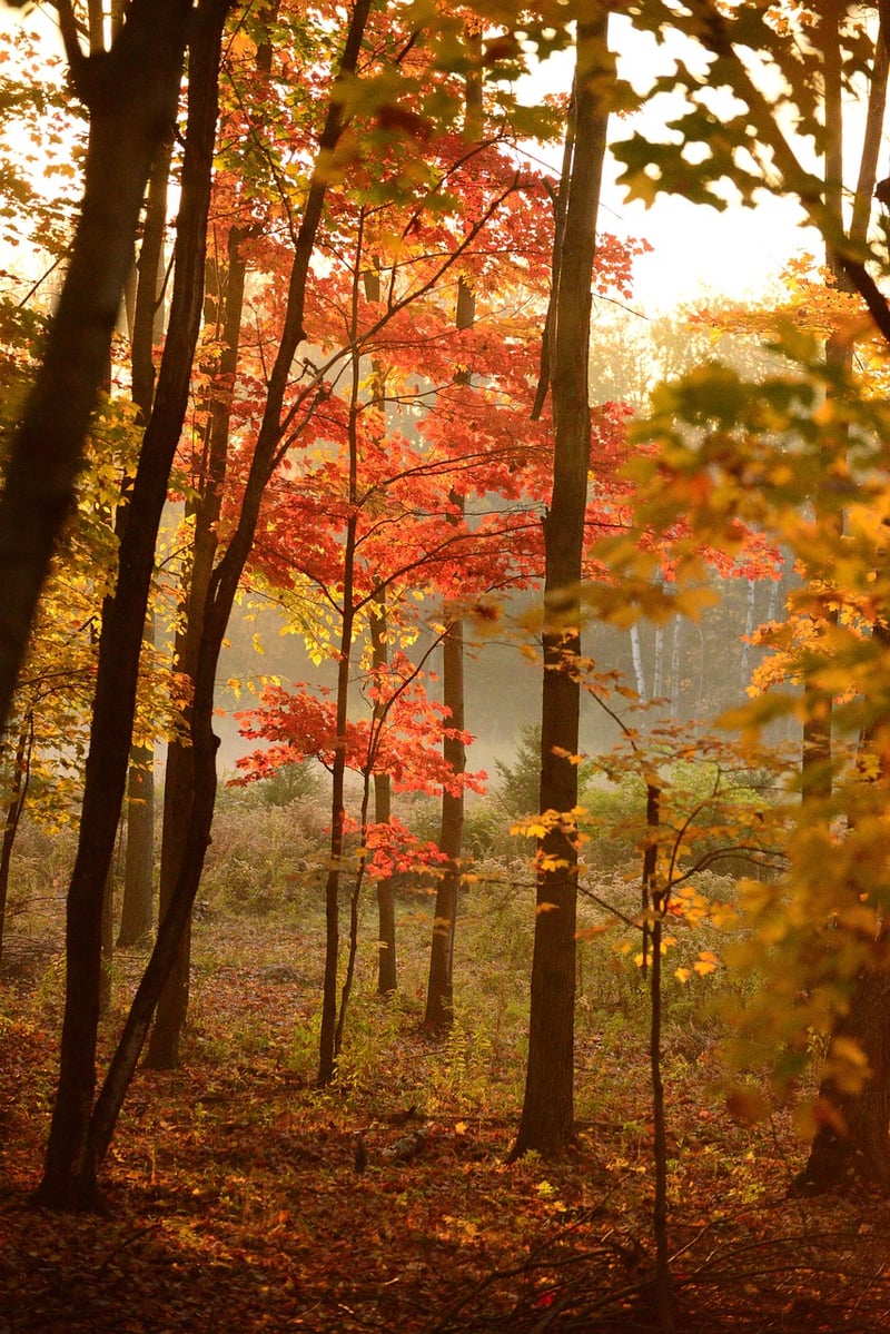 Blue Ridge Mountains