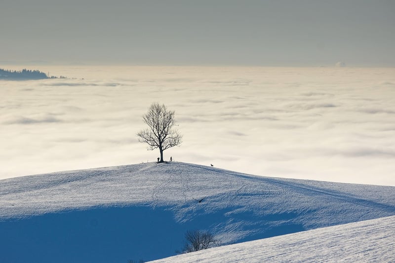 Nature's Hidden Treasures