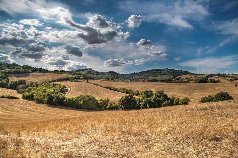 Tuscany Landscape
